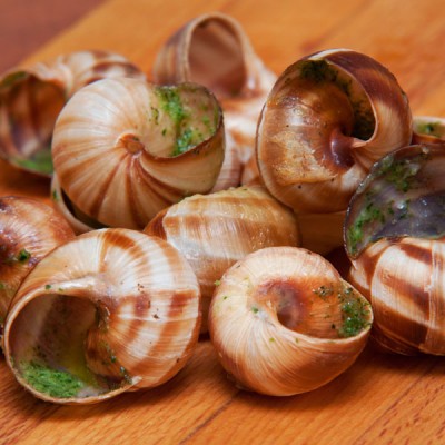 Escargot - Snail Shells - 1Doz
