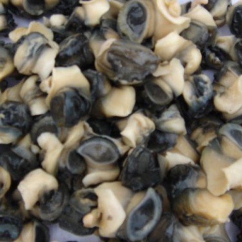 Escargot Meat - Achatine 24'S - 200g