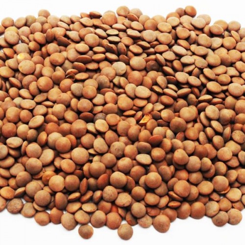 Lentils - Brown - Dried 3kg