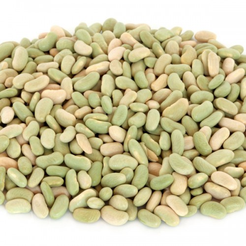 Flageolet Beans - 400g Tin