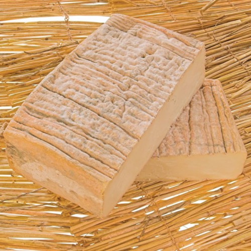Taleggio