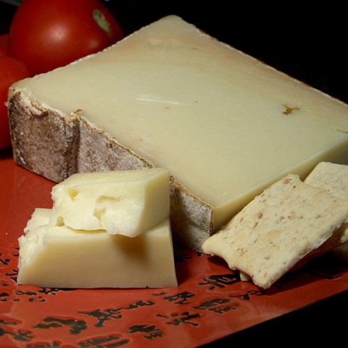 Fontina 