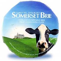 Somerset Brie 1kg