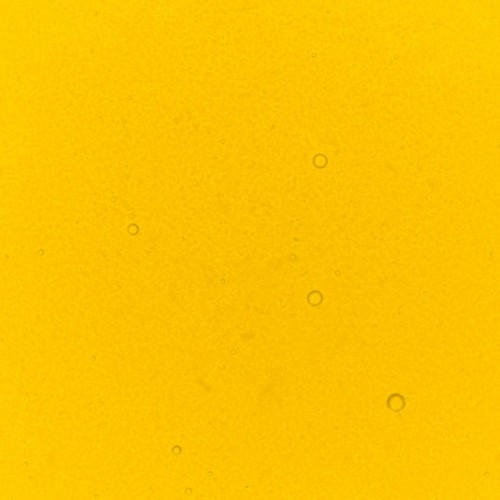 Yellow Banana Food Colouring 30ml