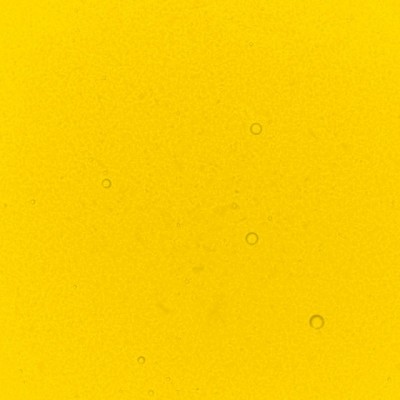 Yellow Lemon Food Colouring 30ml