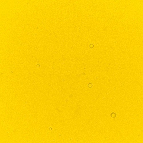 Yellow Lemon Food Colouring 30ml