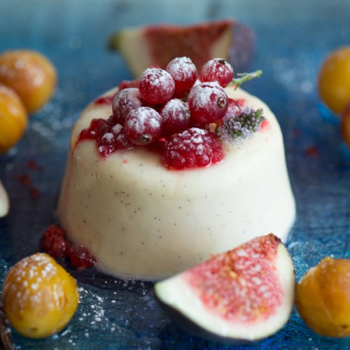 Panna Cotta Vanilla Cream x 12'S