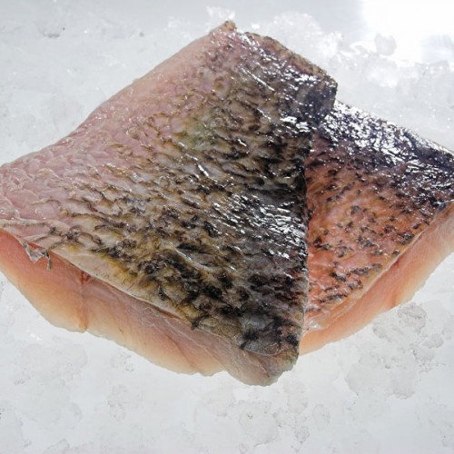 Sea Bass Fillet - Barramundi - 6-8oz