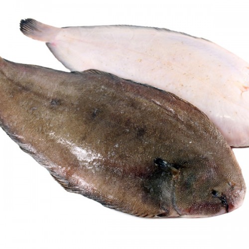 Dover Sole - Fresh