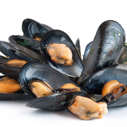 Natural Mussels In Shell