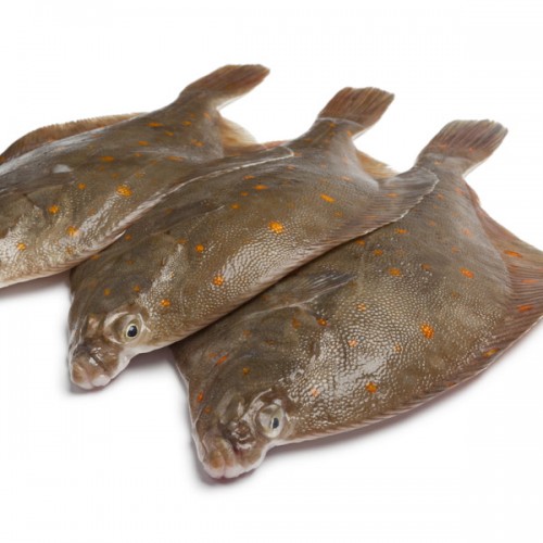 Plaice Whole - Fresh