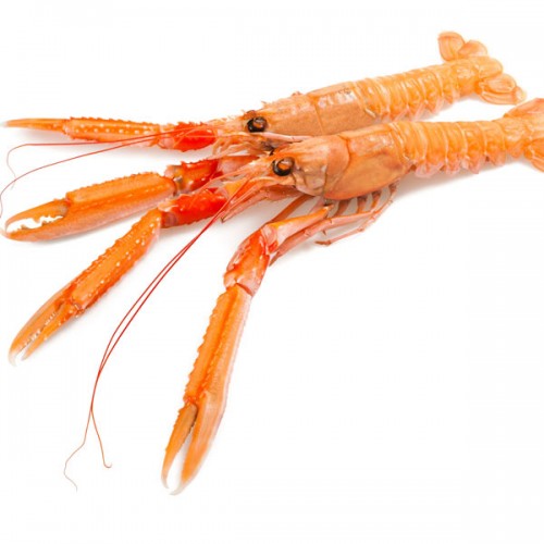 Dublin Bay Prawns 16-20