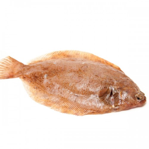 Lemon Sole - Fresh
