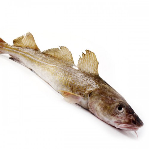Cod Whole 6-8lb