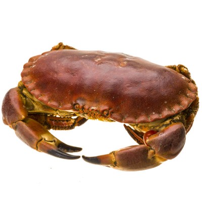 Crab Cooked Whole