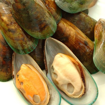 Mussels - Greenlip, In Half Shell - 1kg