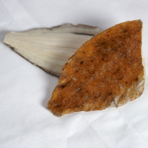 Lemon Sole Fillets - 5-6oz Frozen 10lb Box