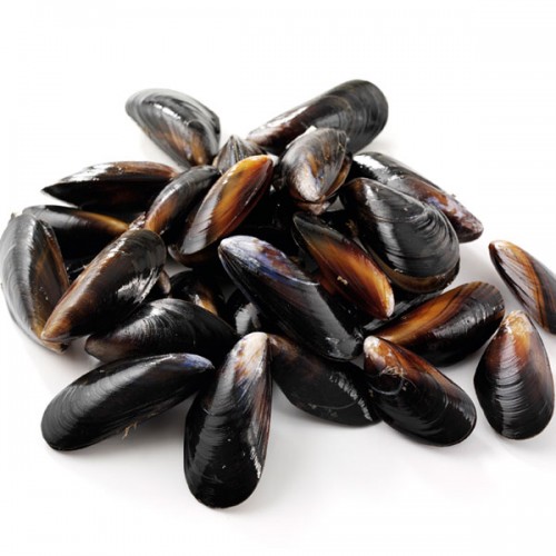 Mussels - Fresh (Live) 5kg