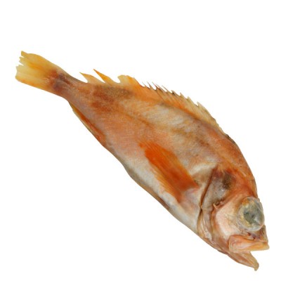 Red Fish (North Sea Red Bream) Whole