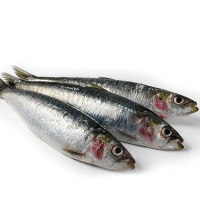 Sardines - Fresh Whole 