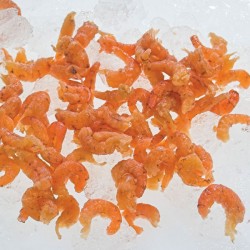 Peeled Brown Shrimps 100 Grms