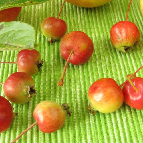 Cherry Apples 425g Tin