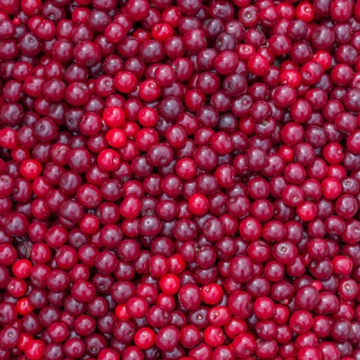Cherries Morello Sour - 1kg