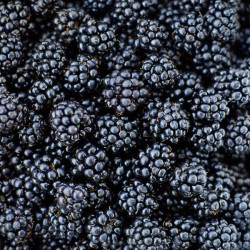 Blackberries Wild 1kg