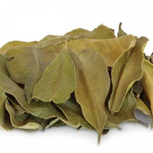 Lime Leaves -Dried - 50g Pkt