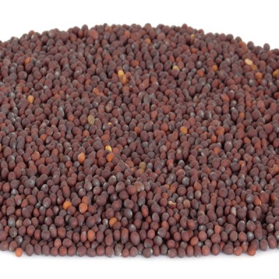 Mustard Seeds - Black 1ltr Tub