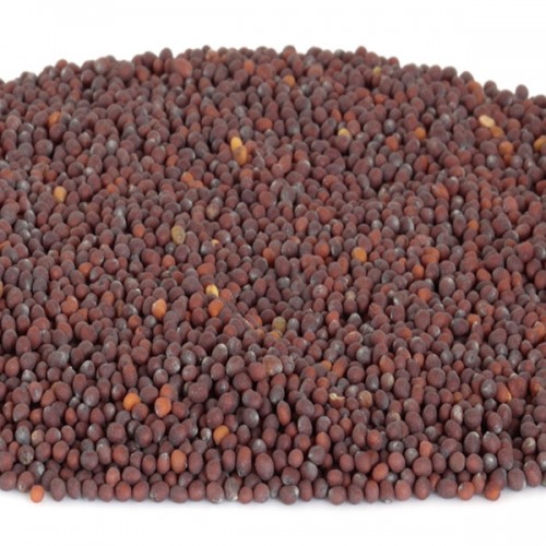 Mustard Seeds - Black 1ltr Tub