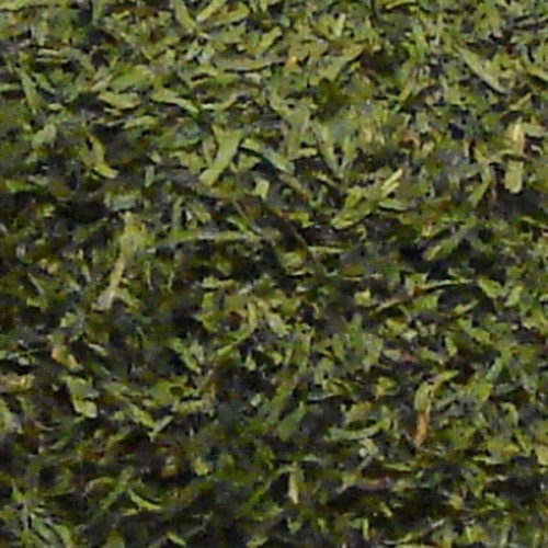 Dill Weed Tops - 1ltr Tub