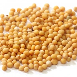 Mustard Seeds - Yellow 1ltr Tub