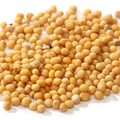 Mustard Seeds - Yellow 1ltr Tub