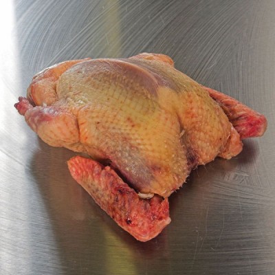 Squab - Oven Ready - 350-400g