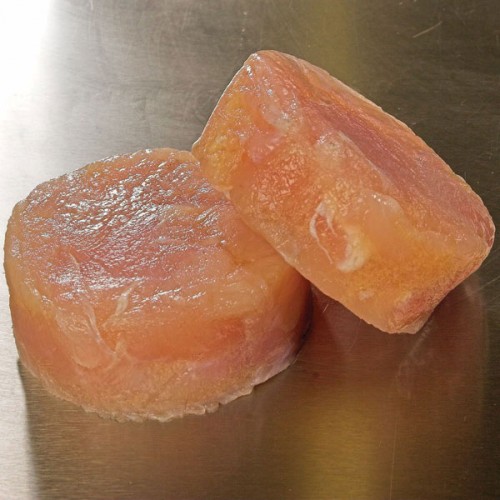 Crocodile Medallions