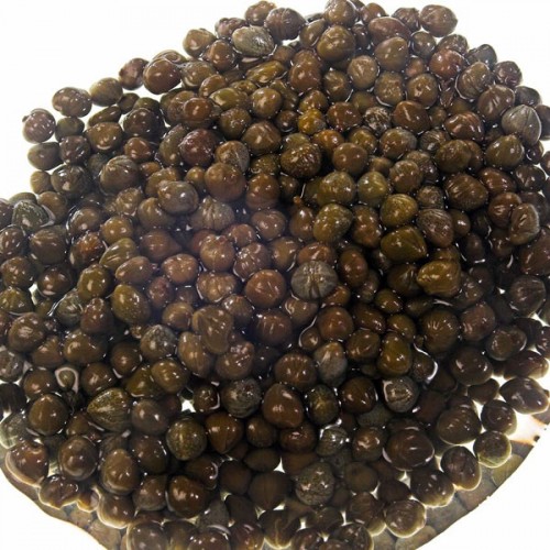 Capers - Lilliputs 3-5mm - 720g